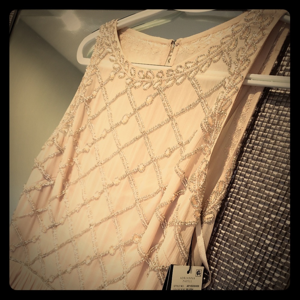 Brand new Adriana papell gown